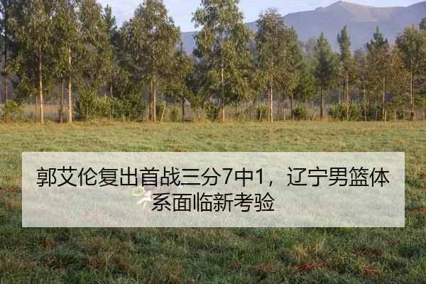 郭艾伦复出首战三分7中1，辽宁男篮体系面临新考验